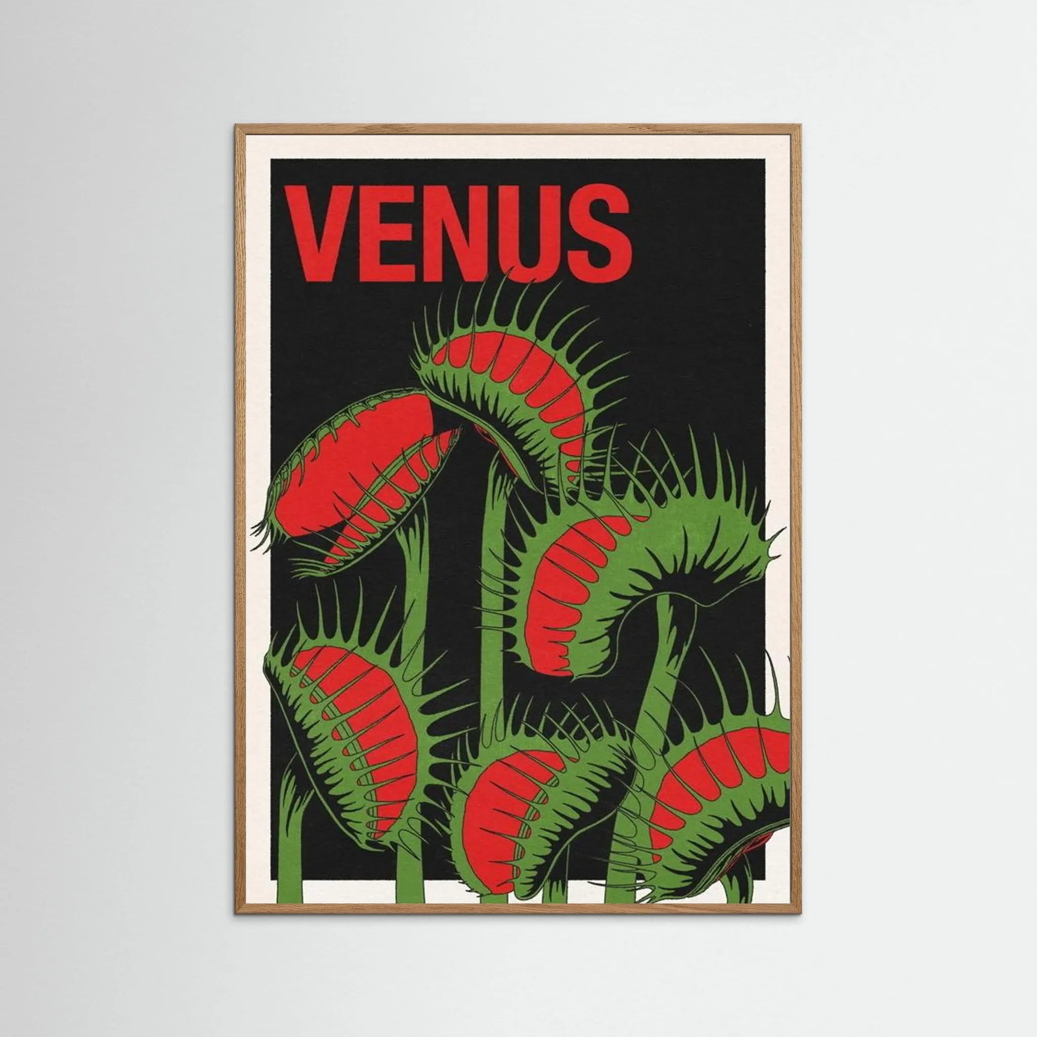 VENUS