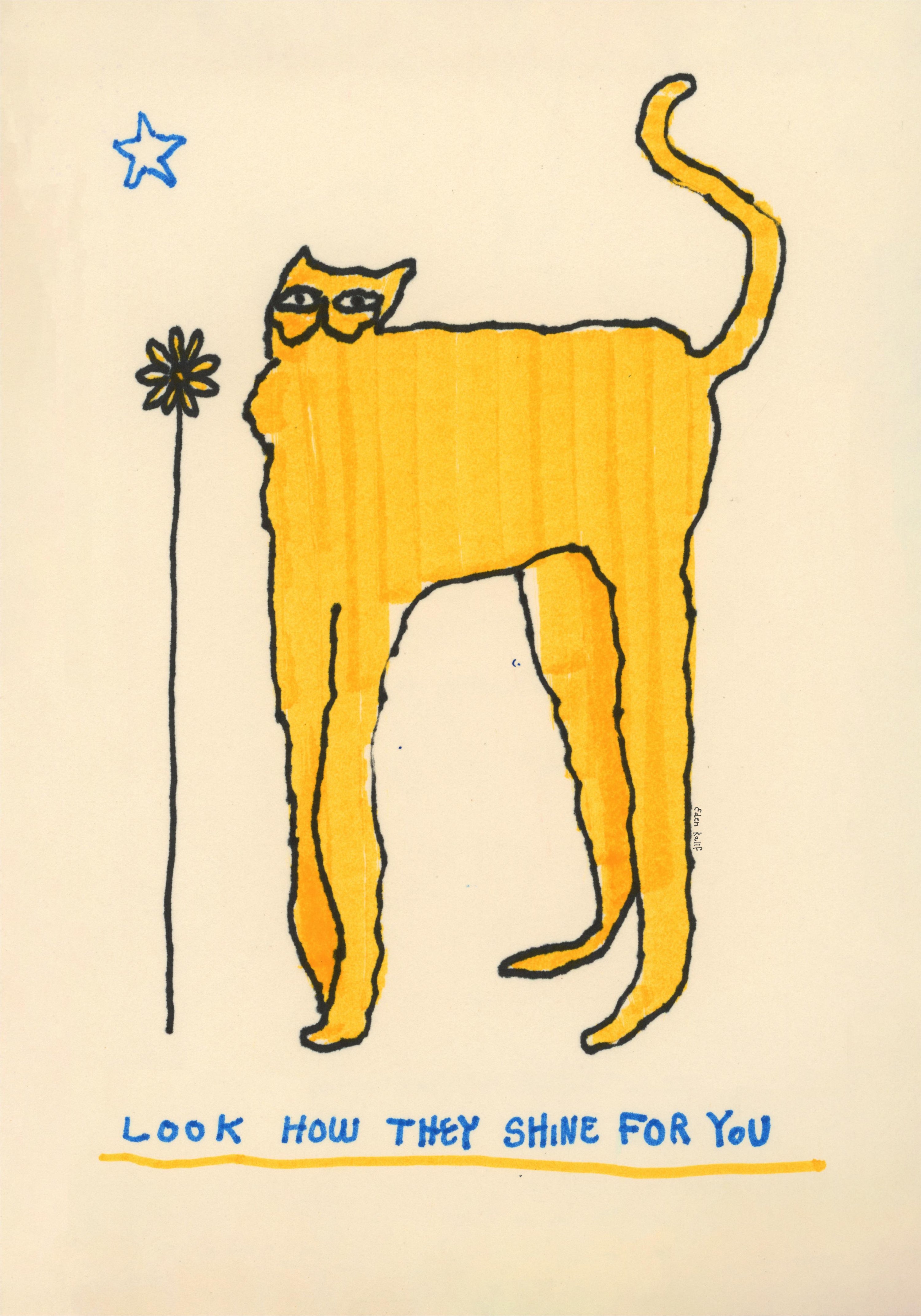 LOOK HOW THEY SHINE FOR YOU