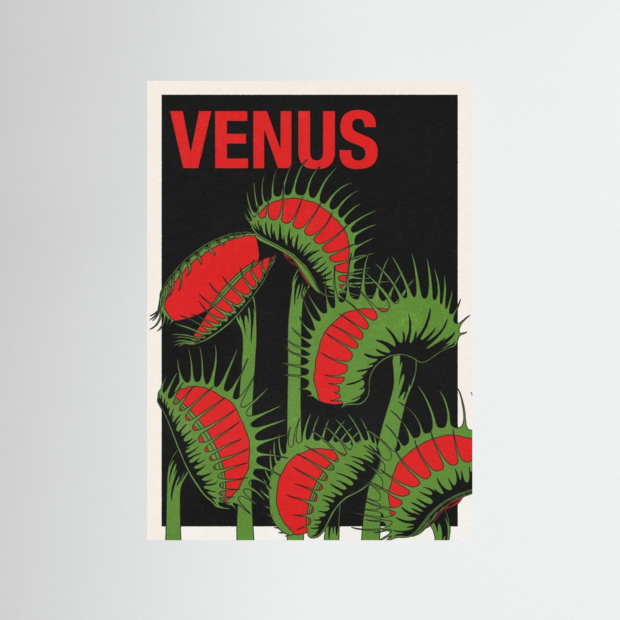 VENUS