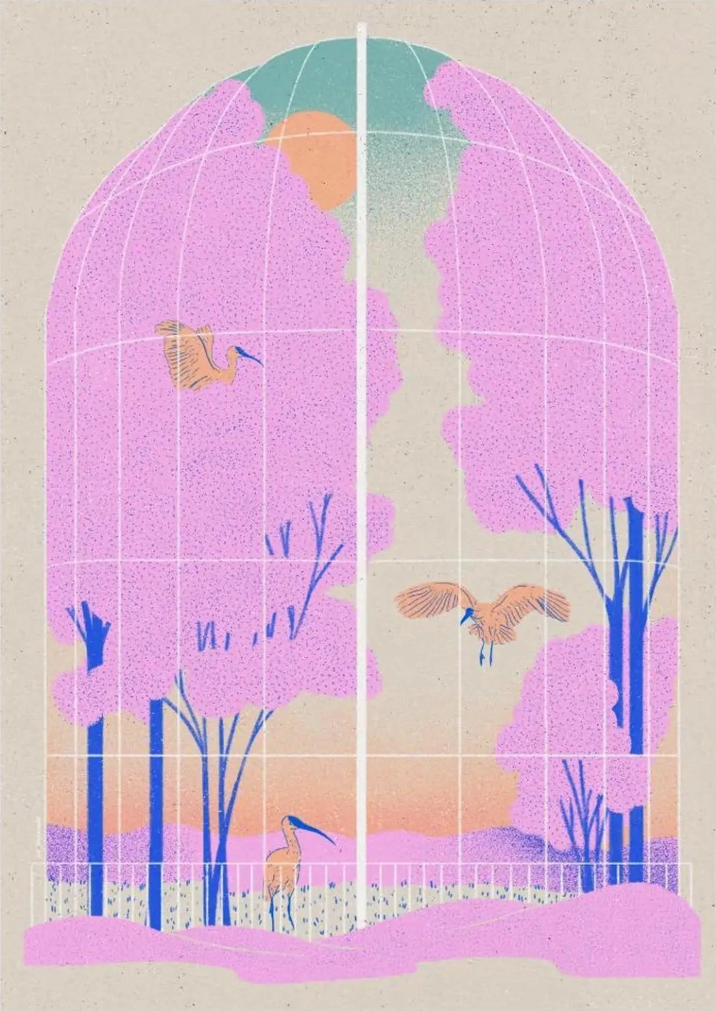 AVIARY