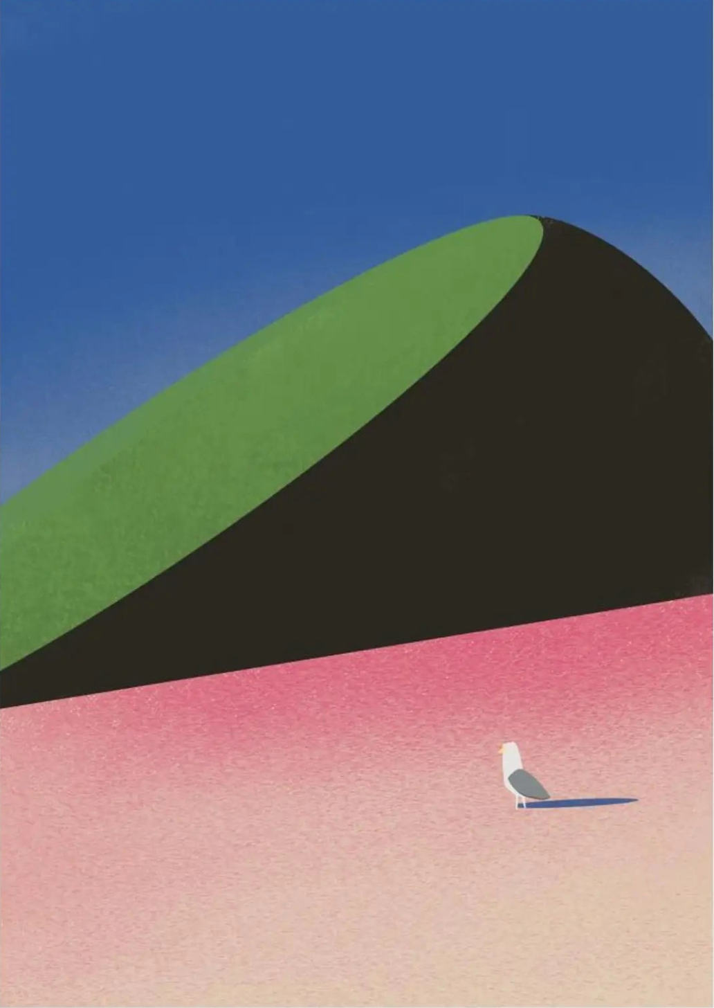 SEAGULL IN FOREIGN LAND