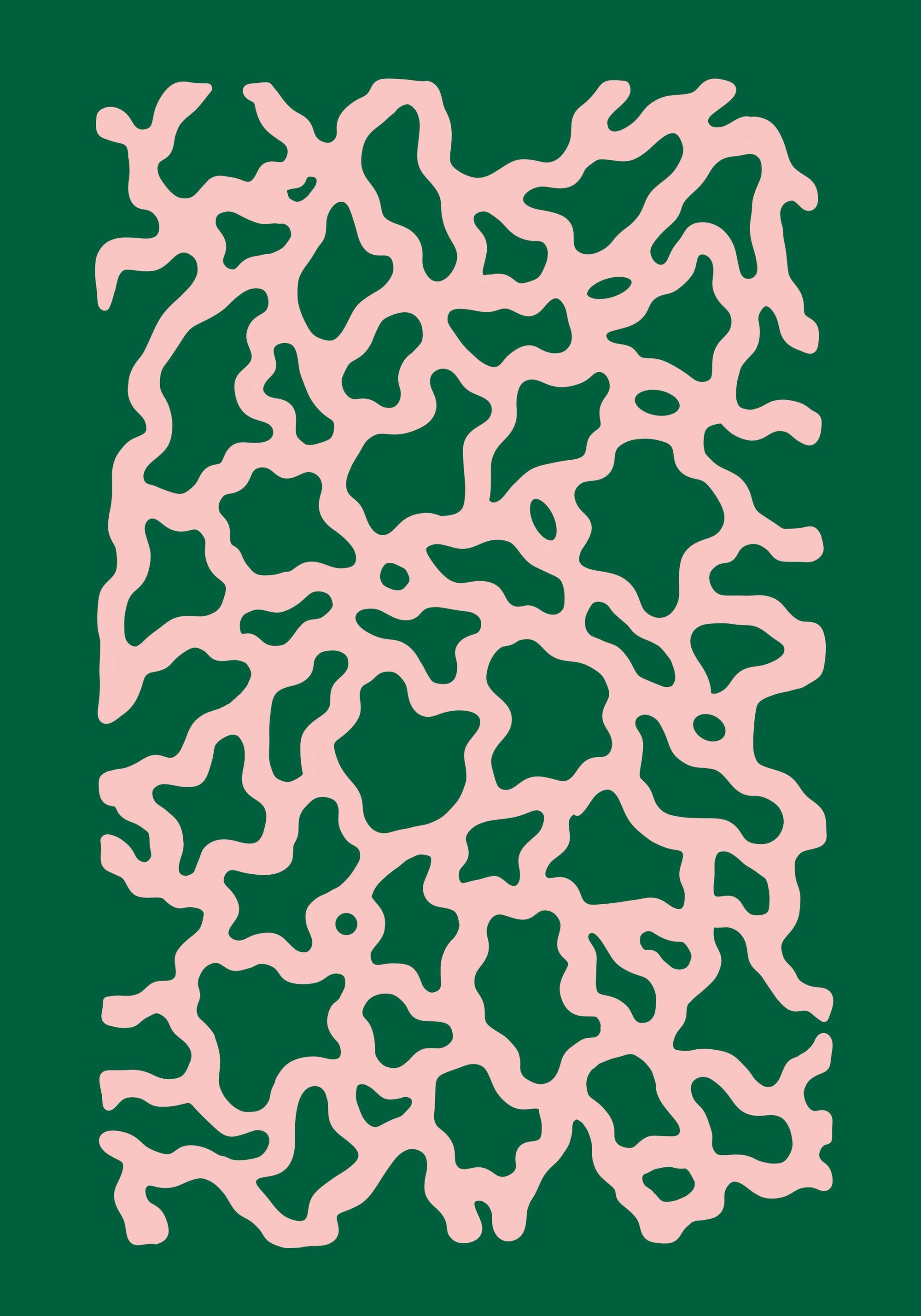 PINK ROOT LABYRINTHINE