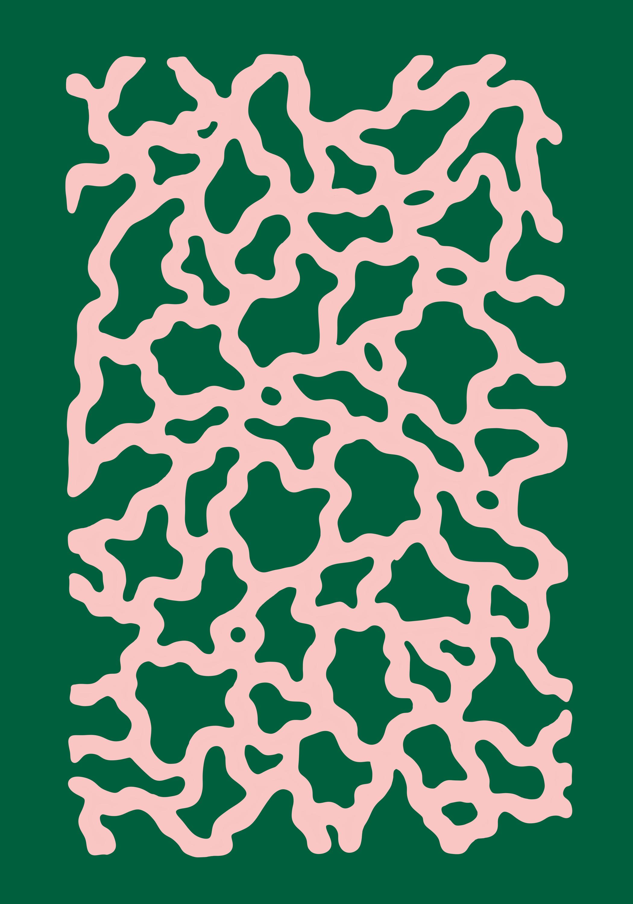 PINK ROOT LABYRINTHINE