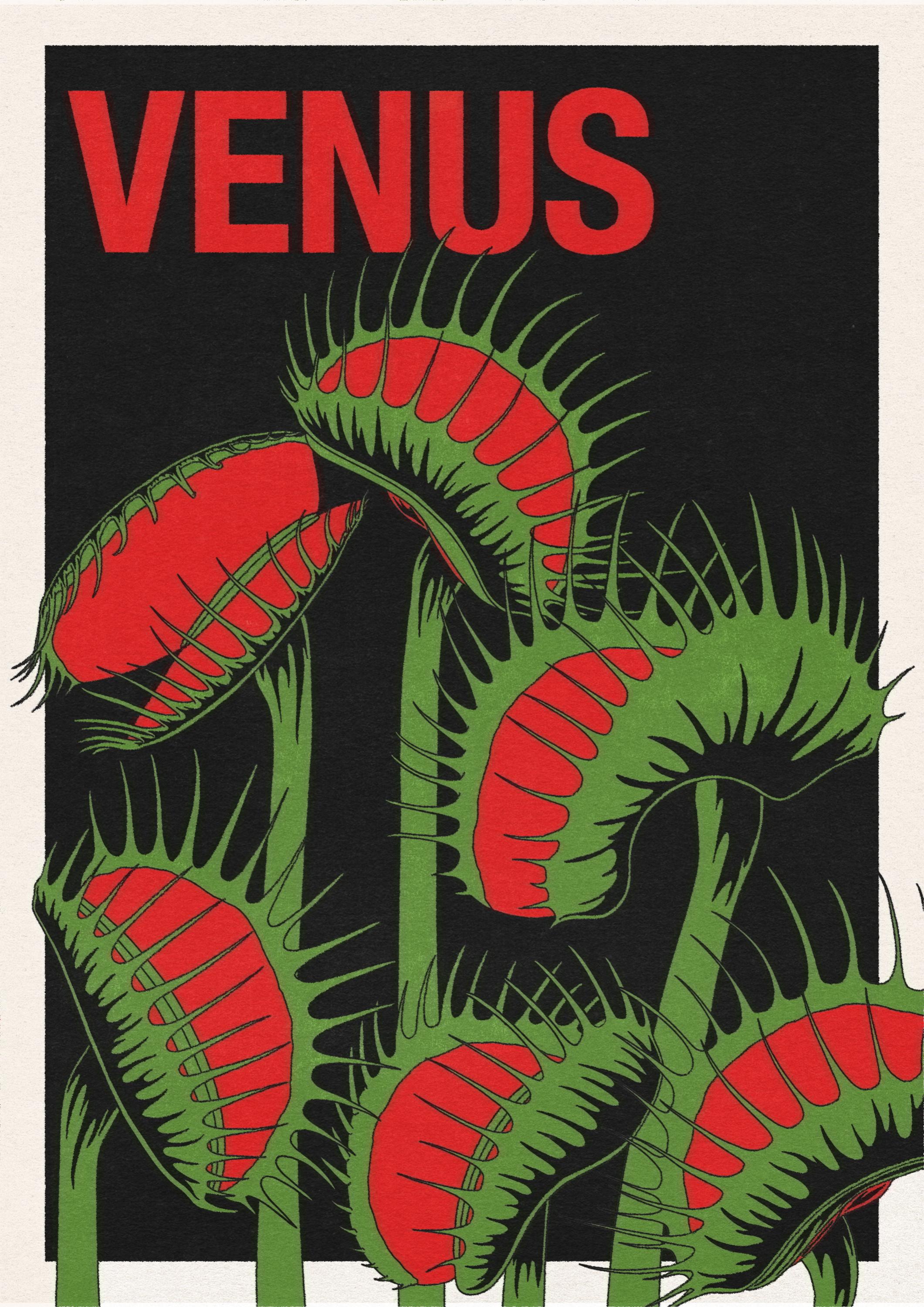 VENUS