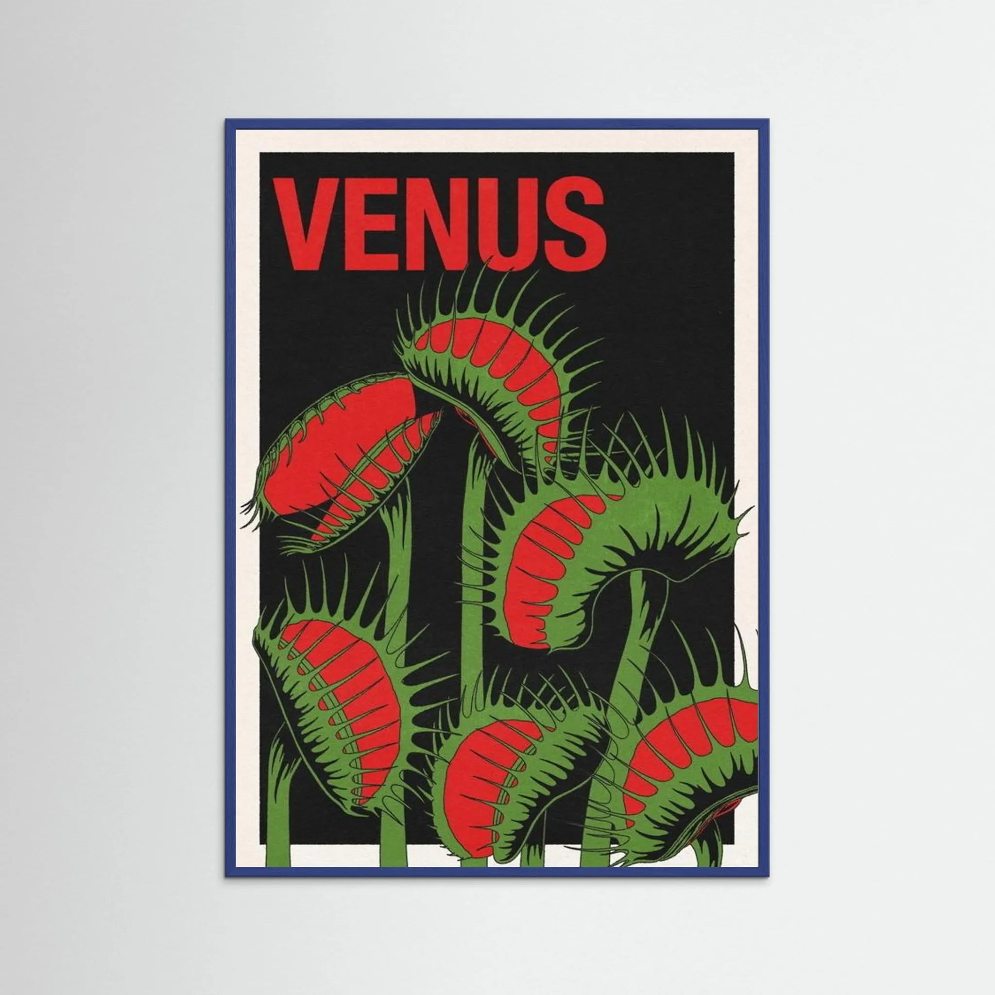 VENUS