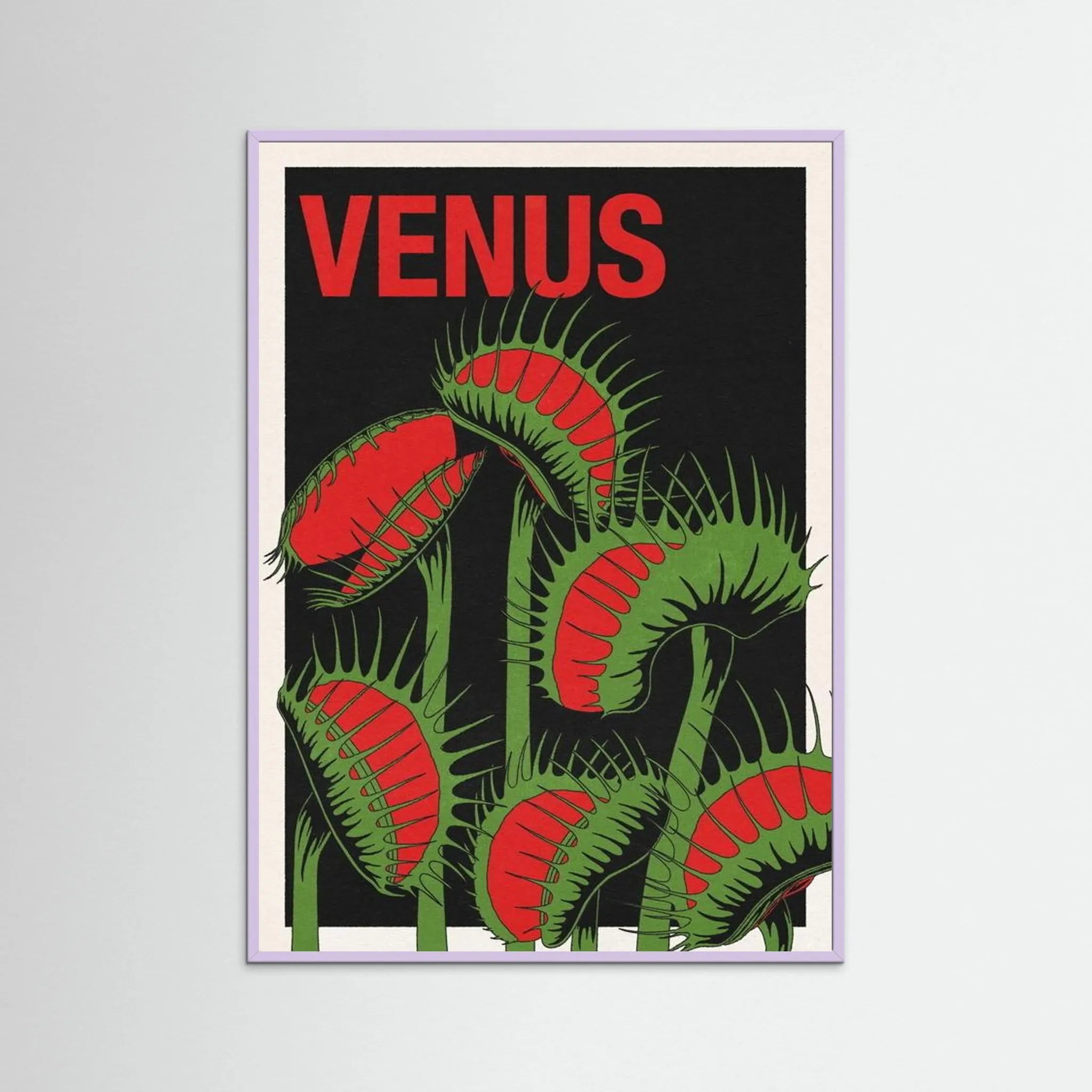 VENUS