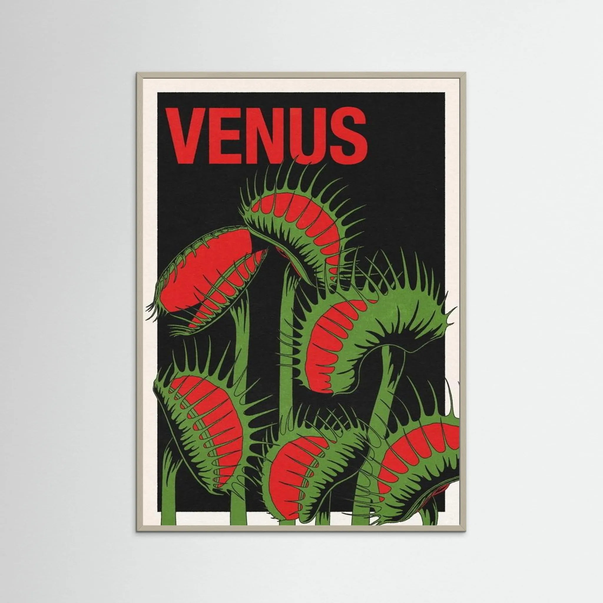 VENUS